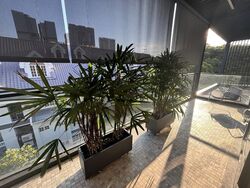 Jervois Privé (D10), Apartment #441301081